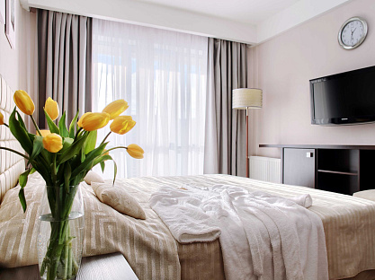 Санаторий «Плаза» г. Железноводск. Номер «Люкс»